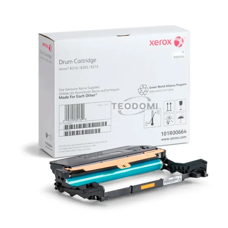 tambor-xerox-101r00664